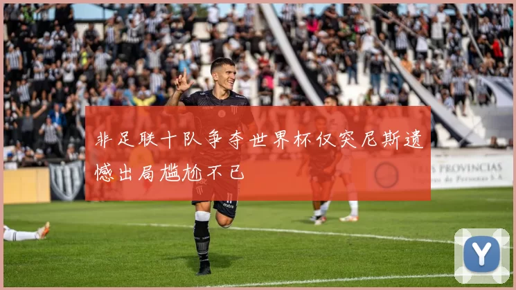 非足联十队争夺世界杯仅突尼斯遗憾出局尴尬不已